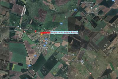 122 ari in Turnu, front 60 m la DN 7B, 15 km de Arad, 1 km de vama - 2