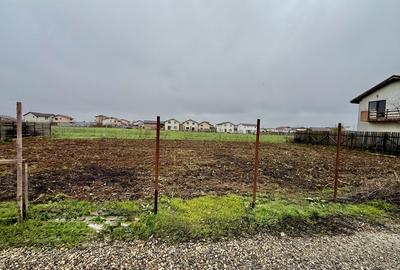 Lot Intravilan 644mp Mamina - Berceni | utilitati: Curent | #MG2R - 3