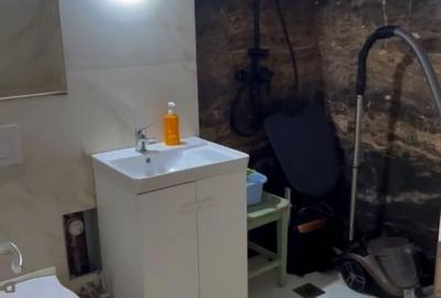 GARSONIERA RENOVATA VIS-A-VIS DE PARCUL SUB ARINI - 7