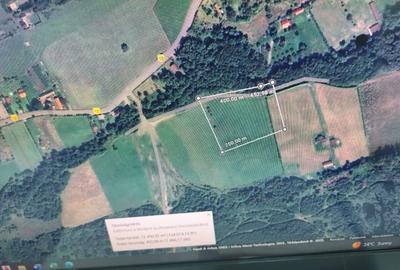 De vanzare teren in Campul Cetati - 1