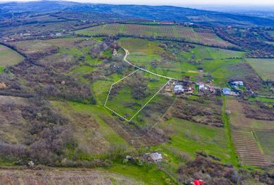 Teren 33.500 mp-Valea Orlei, Prahova/ COMISION 0% - 11