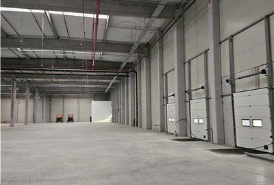 Spatiu Industrial - 2500 mp - Logistica - Depozitare - Distributie - 10