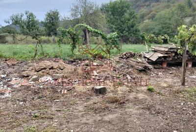 Casa spatioasa | 1500 mp teren - Ticvaniu Mare CS - 11