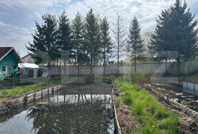 Investitie: Casa cu teren constructii si pastravarie - Prejmer, Brasov - 4