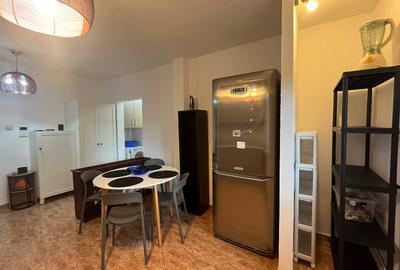 Apartament frumos, 2 camere, Plopilor - 3