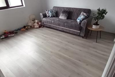 Vanzare proprietate- casa si teren Gheboieni Dambovita - 3