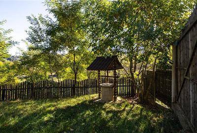 FILM! Proprietate notabila,ocazie personalizare, aprecat areal: Bran, Brasov - 7