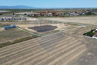 Teren 2,464mp Focsani / Strada Crangului - 5