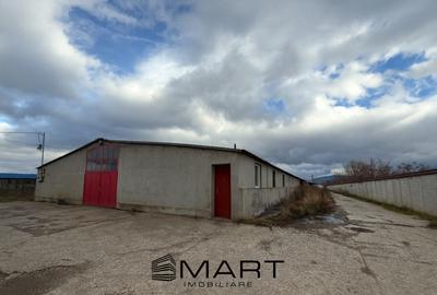 Hală industrială în Prejmer – 500 mp + curte 800 mp - 3