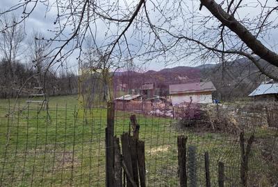 Teren intravilan 800 mp de vanzare in Lunca Mare - 3