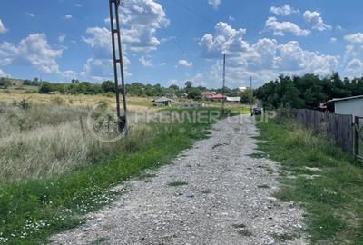 Teren extravilan cu deschidere la 2 drumuri - Miroslava 4500mp - 3