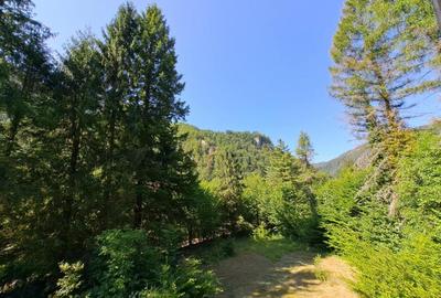 RECO Teren intravilan  Boga - 3