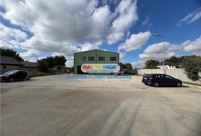 Vanzare spatiu industrial Crevedia - 2
