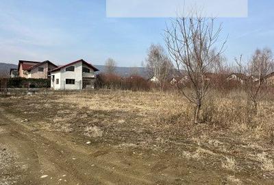 Teren de vanzare zona Bujoreni Valcea - 1