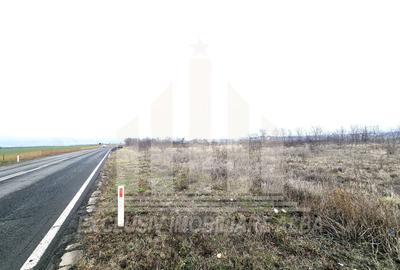 Teren extravilan de 6000 mp, în Lancrăm