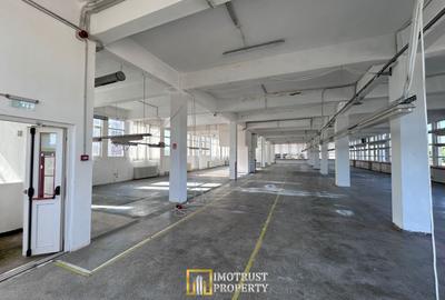 De Vânzare Hală Industrială – Lipova, Județul Arad - 16