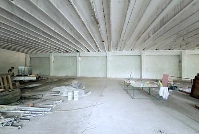Hale din beton cu suprafata mare zona Cornisa - 4