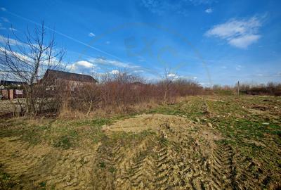 Teren intravilan 2273 mp in Pitesti, str. Mateias, iesire spre Campulung Muscel - 5