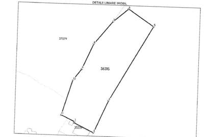 Teren intravilan 2.194 mp, VALCEA, BREZOI - 5