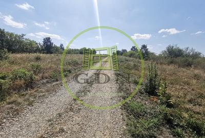 Teren intravilan de vanzare, 3.500 mp, cu front stradal de 21,5 ml - 3