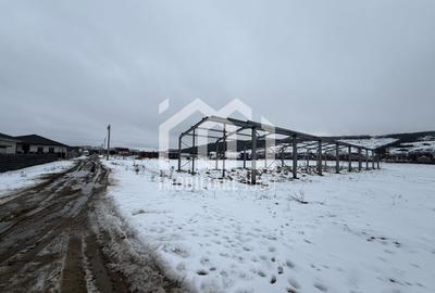 Teren intravilan industrial – 9783 mp | Jucu de Mijloc - 1