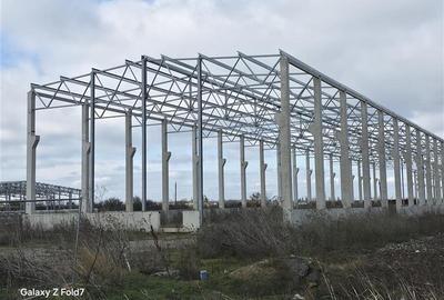 Inchiriere depozit/hala/spatiu industrial Mogosoaia - Buftea - 3