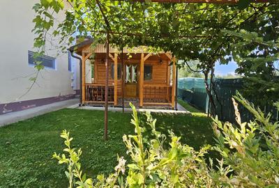CASA VACANTA-zona pitoreasca minunata - 15
