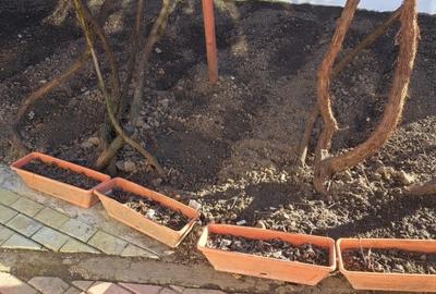 CASA  COMPLET PREGATITA PENTRU LOCUIT, CURATA COMPLET RENOVATA - 7