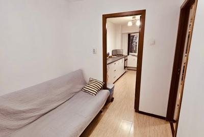 Garsoniera Câmpia Libertății, PET-FRIENDLY, mobilată si utilată modern, libera - 8