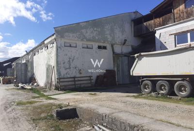 Spatiu industrial-baza depozitare cu cale ferata-Arpasu de Jos - Sibiu - 1