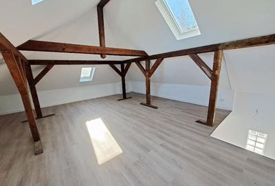 Dorobanti(capitale), spatiu de inchiriat, vila reprezentativa, 215 mp, terasa - 16