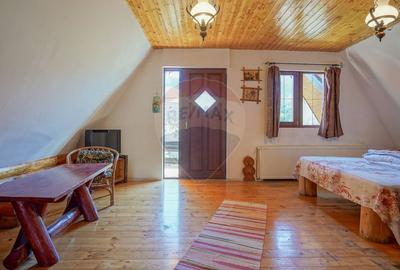 CASA INCONJURATA DE NATURA | DIN BUSTENI | 8 CAMERE | TIMISUL DE JOS - 17
