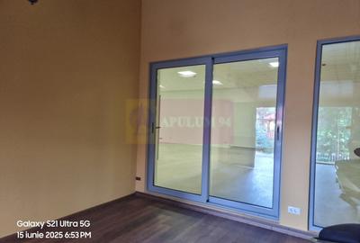 VANZARE CASA OASPETI + ANEXE IN  SAT TEISORI (JUD. GIURGIU) - 47