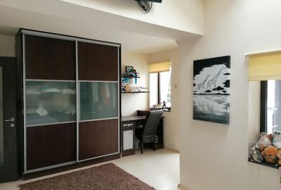 Vila complet finisata si utilata, zona Eremia Grigorescu - 17