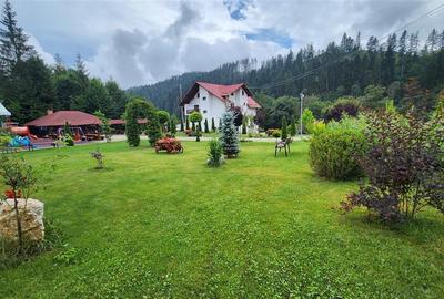 Penisune in Bucovina! Sucevita! De Vanzare! 0727817187 - 12
