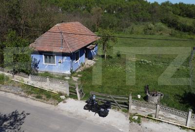 4700 mp teren intravilan - Rascruci - EXCLUSIVITATE - 5