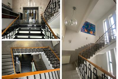 Viilor 14 - comision 0%, reprezentam proprietarul! - 9