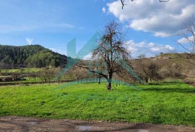 EXCLUSIVITATE! Teren intravilan de vanzare in zona linistita, sat Vlaha! - 8