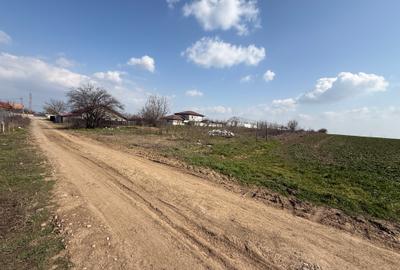 Teren intravilan 4.990 mp – Frumușani, zona Pasărea | Deschidere 22,5 m - 6