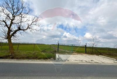 Teren extravilan Săcele ideal pentru silozuri, fermă sau investiție - 17