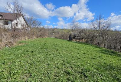 Teren intravilan, zona Leorda - 2
