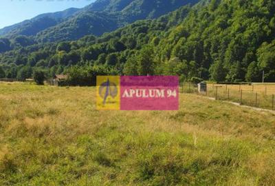 Teren Județul Vâlcea - Brezoi, Valea lui Stan - 29