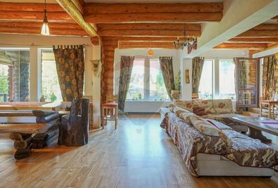 CASA INCONJURATA DE NATURA | DIN BUSTENI | 8 CAMERE | TIMISUL DE JOS - 13