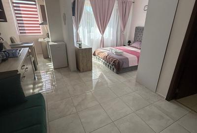 STUDIO - COSTINESTI - 1