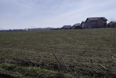FARA COMISIOANE in Sabareni teren in suprafata de 23200mp gaze curent la teren - 4