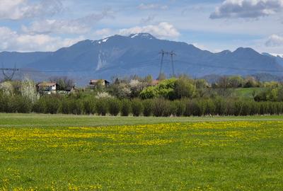 Teren intrare Bran, aproape de Penny, la Drumul European - 6
