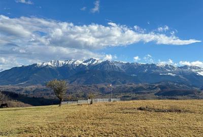 TEREN INTRAVILAN SIRNEA/ 4000 MP/ - 9