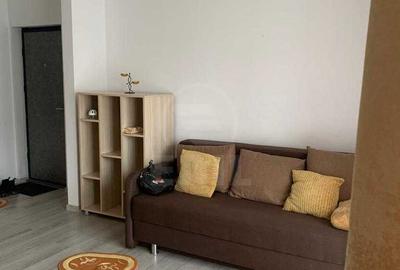 Apartament de 1 camera, zona Teilor - 2