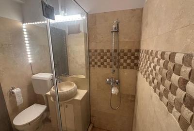 De Inchiriat Apartament 2 camere Piata Muncii, Pet Friendly - 8