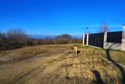 Teren intravilan 2.000 mp – Seciu, 2 deschideri, Priveliște panoramica - 5